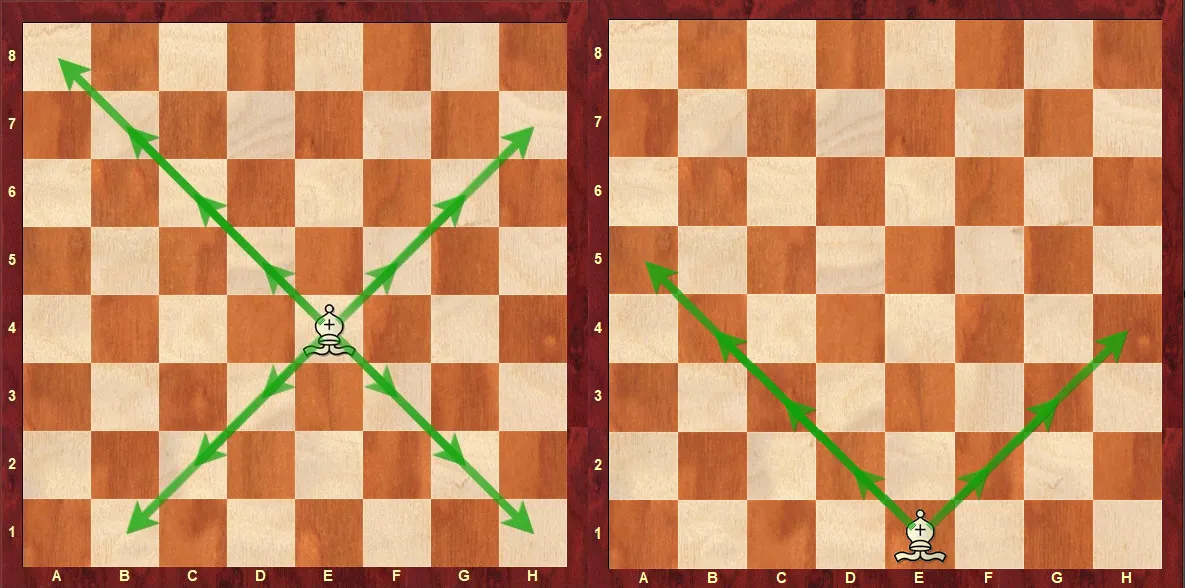 Bishops-squares